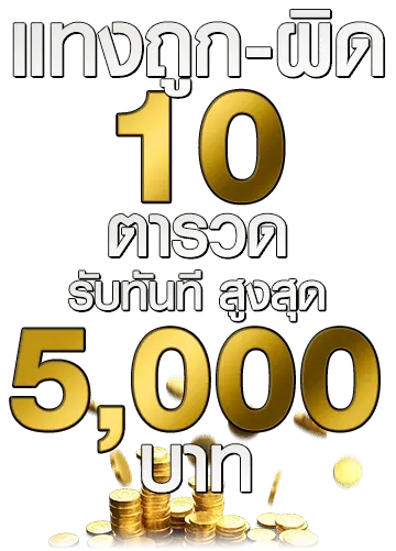 แทงถูก-ผิด